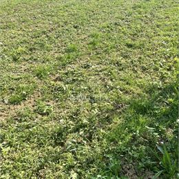 Exkluzívne na predaj stavebný pozemok v meste Beladice, 1000 m2
