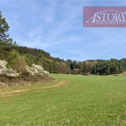 Lesný pozemok na predaj - Rudno