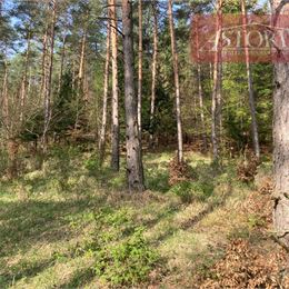 Lesný pozemok na predaj - Rudno