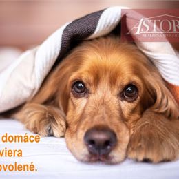 Prenájom - chata na celoročné bývanie - Valentová
