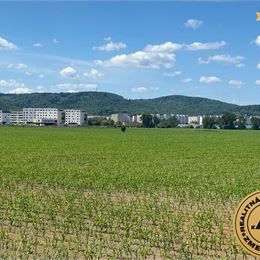 Pozemok 11 600 m2 na predaj, Zvolen