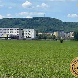 Pozemok 11 600 m2 na predaj, Zvolen