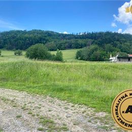 Pozemok na predaj, 13 237 m2 Slatinské Lazy, okres Detva
