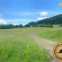 Pozemok na predaj, 13 237 m2 Slatinské Lazy, okres Detva