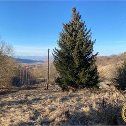 Na predaj Stavebný pozemok 3.350 m2 obec Klokoč - Detva