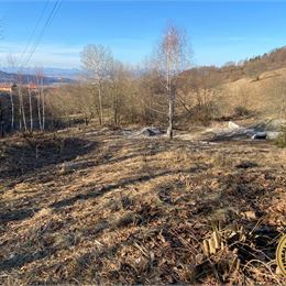 Na predaj Stavebný pozemok 3.350 m2 obec Klokoč - Detva