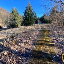 Na predaj Stavebný pozemok 3.350 m2 obec Klokoč - Detva