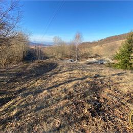Na predaj Stavebný pozemok 3.350 m2 obec Klokoč - Detva