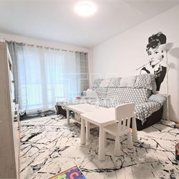 2- IZBOVÝ BYT PIEŠŤANY 46m2
