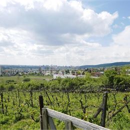 Pozemok pre 5 nádherných rekreačných #glamping #rbnb #tinyhouse domčekov s nádherným výhľadom na Bratislavu a