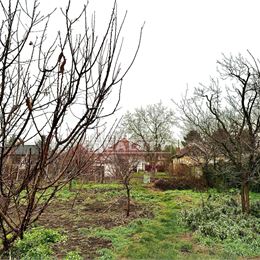 REZERVOVANÉTUREALITY ponúka NA PREDAJ: Rodinný dom s veľkým pozemkom 1320 m2, v tichej lokalite, blízko Nitry