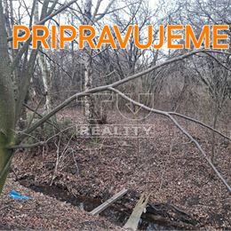 Ponúkame na predaj pozemok v malebnej obci Sady nad Torysou, časť Byster o výmere 1252m2.