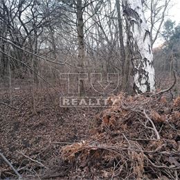 Ponúkame na predaj pozemok v malebnej obci Sady nad Torysou, časť Byster o výmere 1252m2.