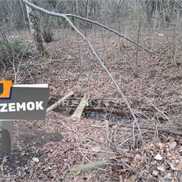 Ponúkame na predaj pozemok v malebnej obci Sady nad Torysou, časť Byster o výmere 1252m2.