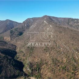 NA PREDAJ LES NA ŤAŽBU DREVA, 36250m2, Pružina