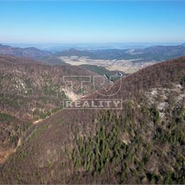 NA PREDAJ LES NA ŤAŽBU DREVA, 36250m2, Pružina