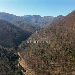 NA PREDAJ LES NA ŤAŽBU DREVA, 36250m2, Pružina