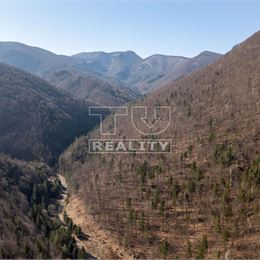 NA PREDAJ LES NA ŤAŽBU DREVA, 36250m2, Pružina
