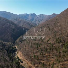 NA PREDAJ LES NA ŤAŽBU DREVA, 36250m2, Pružina