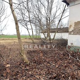 Stavebný pozemok so starým rodinným domom a hospodárskou stavbou na polosamote obec Okoč, 50 minút od