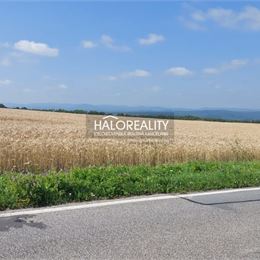 Predaj, orná pôda 70000 m² Kráľovce, Kráľovce - EXKLUZÍVNE HALO REALITY