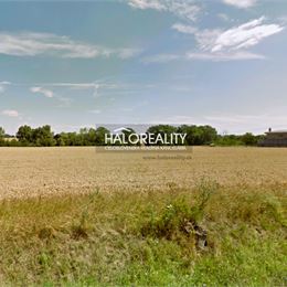 Predaj, orná pôda 8656 m² Vištuk - EXKLUZÍVNE HALO REALITY