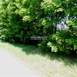 Predaj, pozemok 5834 m² Trnava, zaujímavý investičný pozemok - EXKLUZÍVNE HALO REALITY