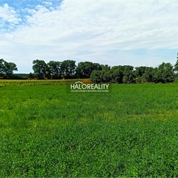 Predaj, rodinný dom Jablonica, Veľký pozemok 18.984m²