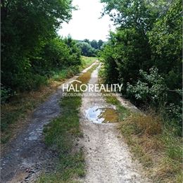 Predaj, rodinný dom Jablonica, Veľký pozemok 18.984m²