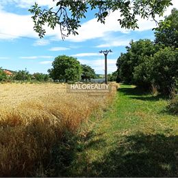 Predaj, rodinný dom Jablonica, Veľký pozemok 18.984m²