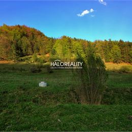 Predaj, pozemok pre rodinný dom 10535 m² Jasenie - EXKLUZÍVNE HALO REALITY