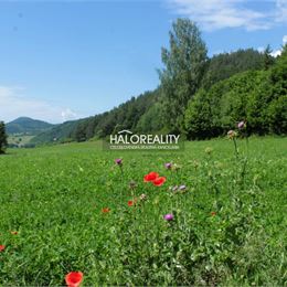 Predaj, pozemok pre rodinný dom 10535 m² Jasenie - EXKLUZÍVNE HALO REALITY
