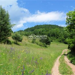 Predaj, pozemok pre rodinný dom 10535 m² Jasenie - EXKLUZÍVNE HALO REALITY