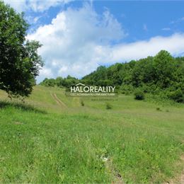 Predaj, pozemok pre rodinný dom 10535 m² Jasenie - EXKLUZÍVNE HALO REALITY