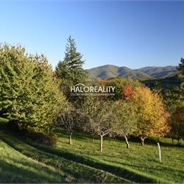 Predaj, rodinný dom Nová Baňa, pozemok 35.813 m² - ZNÍŽENÁ CENA