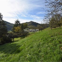 Predaj, rodinný dom Nová Baňa, pozemok 35.813 m² - ZNÍŽENÁ CENA
