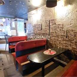 Predaj, polyfunkcia/obchodné priestory Krupina - EXKLUZÍVNE HALO REALITY