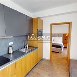 Predaj, jednoizbový byt Liptovský Mikuláš, Maladinovo - ZNÍŽENÁ CENA - EXKLUZÍVNE HALO REALITY