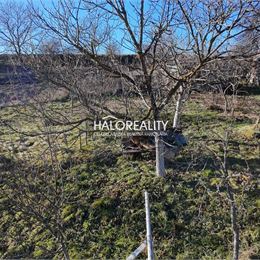 Predaj, rodinný dom Krupina - EXKLUZÍVNE HALO REALITY