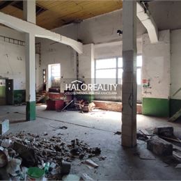 Predaj, komerčný objekt Čereňany - EXKLUZÍVNE HALO REALITY