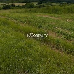 Predaj, pozemok pre rodinný dom 1350 m² Trstín
