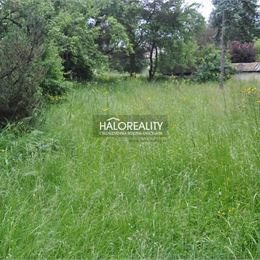 Predaj, rodinný dom Nálepkovo, Ulica Zimná, s veľkým pozemkom 7896 m² - EXKLUZÍVNE HALO REALITY