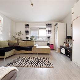 Predaj, rodinný dom Chotín, na pozemku o rozlohe 3520 m² - EXKLUZÍVNE HALO REALITY