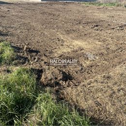 Predaj, pozemok pre rodinný dom 485 m² Cífer