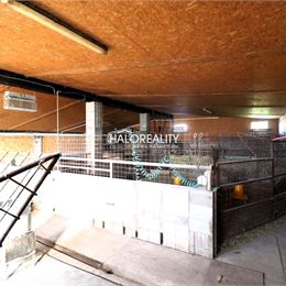 Predaj, výrobný priestor - farma, Želiezovce časť Svodov - EXKLUZÍVNE HALO REALITY + VIDEOOBHLIADKA