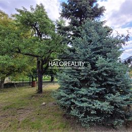 Predaj, rodinný dom Sľažany - EXKLUZÍVNE HALO REALITY