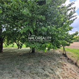 Predaj, rodinný dom Sľažany - EXKLUZÍVNE HALO REALITY