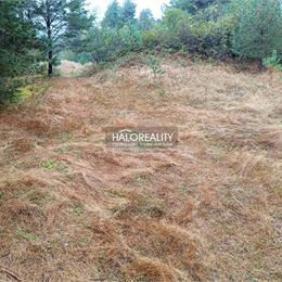 Predaj, pozemok pre rodinný dom 4217 m² Gelnica, Slovenské Cechy - Nad Krížovou - EXKLUZÍVNE HALO REALITY
