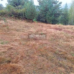 Predaj, pozemok pre rodinný dom 4217 m² Gelnica, Slovenské Cechy - Nad Krížovou - EXKLUZÍVNE HALO REALITY