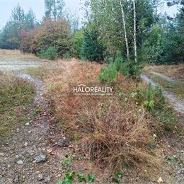 Predaj, pozemok pre rodinný dom 4217 m² Gelnica, Slovenské Cechy - Nad Krížovou - EXKLUZÍVNE HALO REALITY